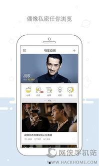 宝石大明星app,探索璀璨宝石世界的璀璨之旅